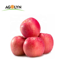 Organic Sweet and Crisp Red Fuji Apple fresh apple